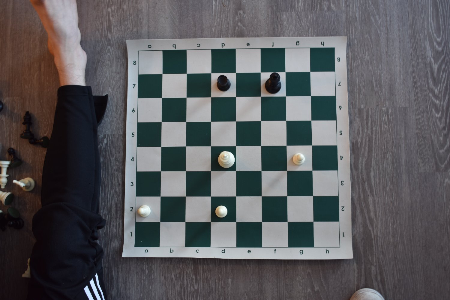 Endgame position photo
